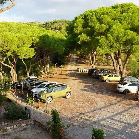 Bilocale A Vista Mare Διαμέρισμα Capo D'arco